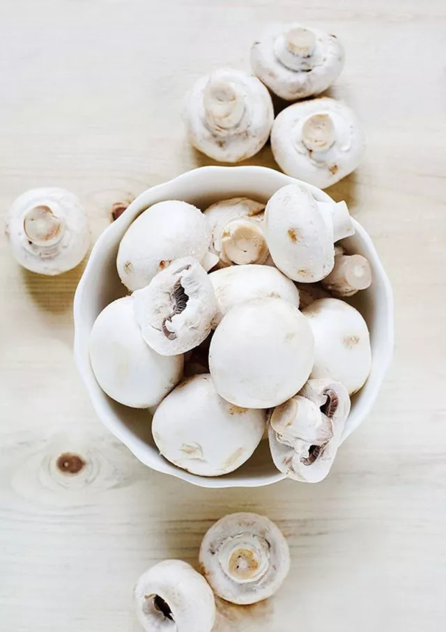 口蘑中最名贵的是什么蘑,口蘑是哪个地方特产