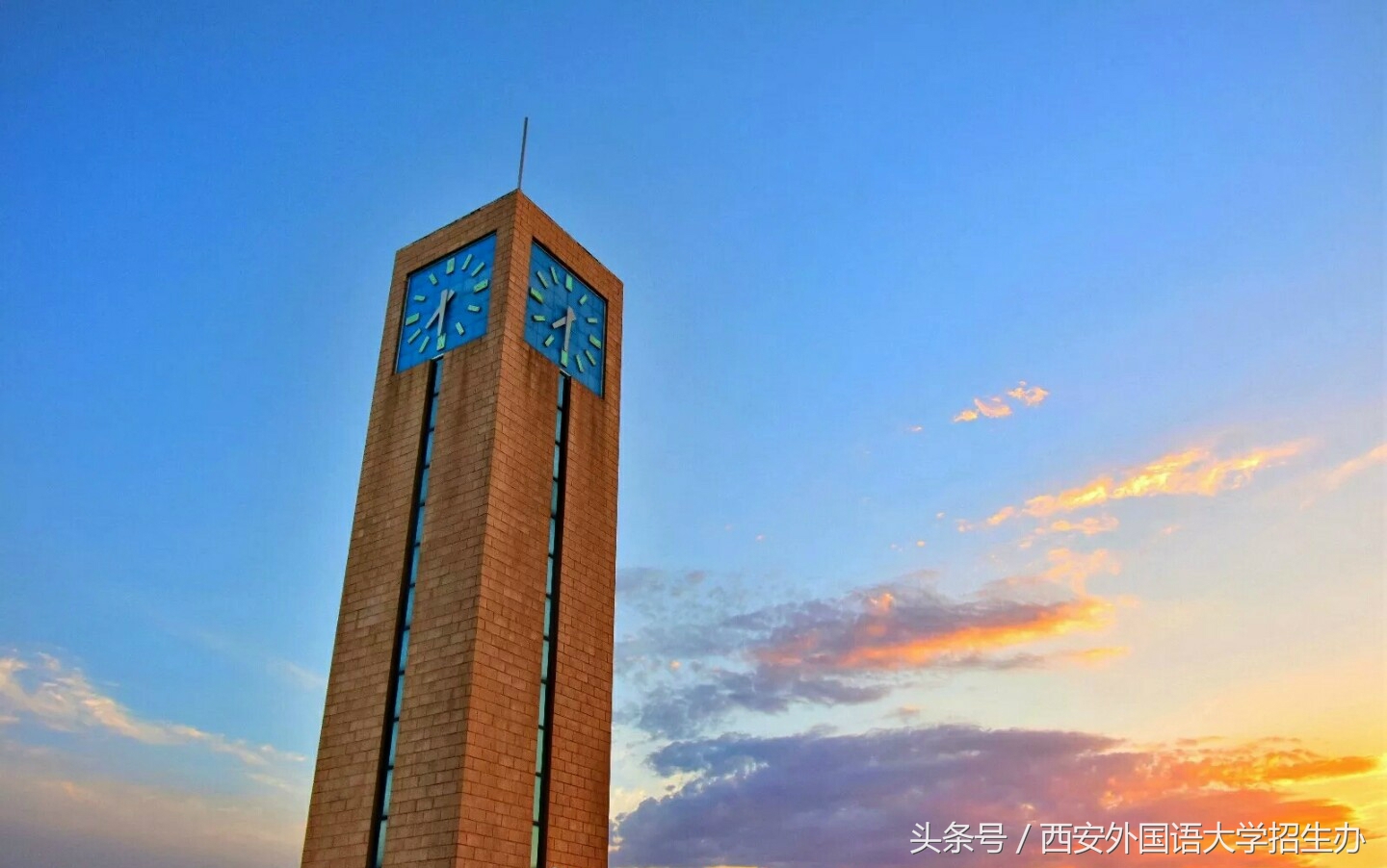 陕西省计算机专业大学排名,陕西大学排行榜前十名专业是什么