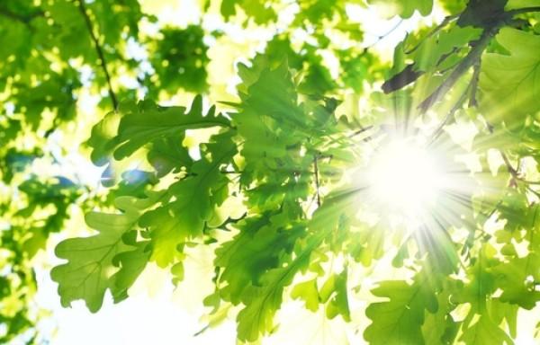 春华秋实再谱新篇,内蒙古大学创业学院成立10周年