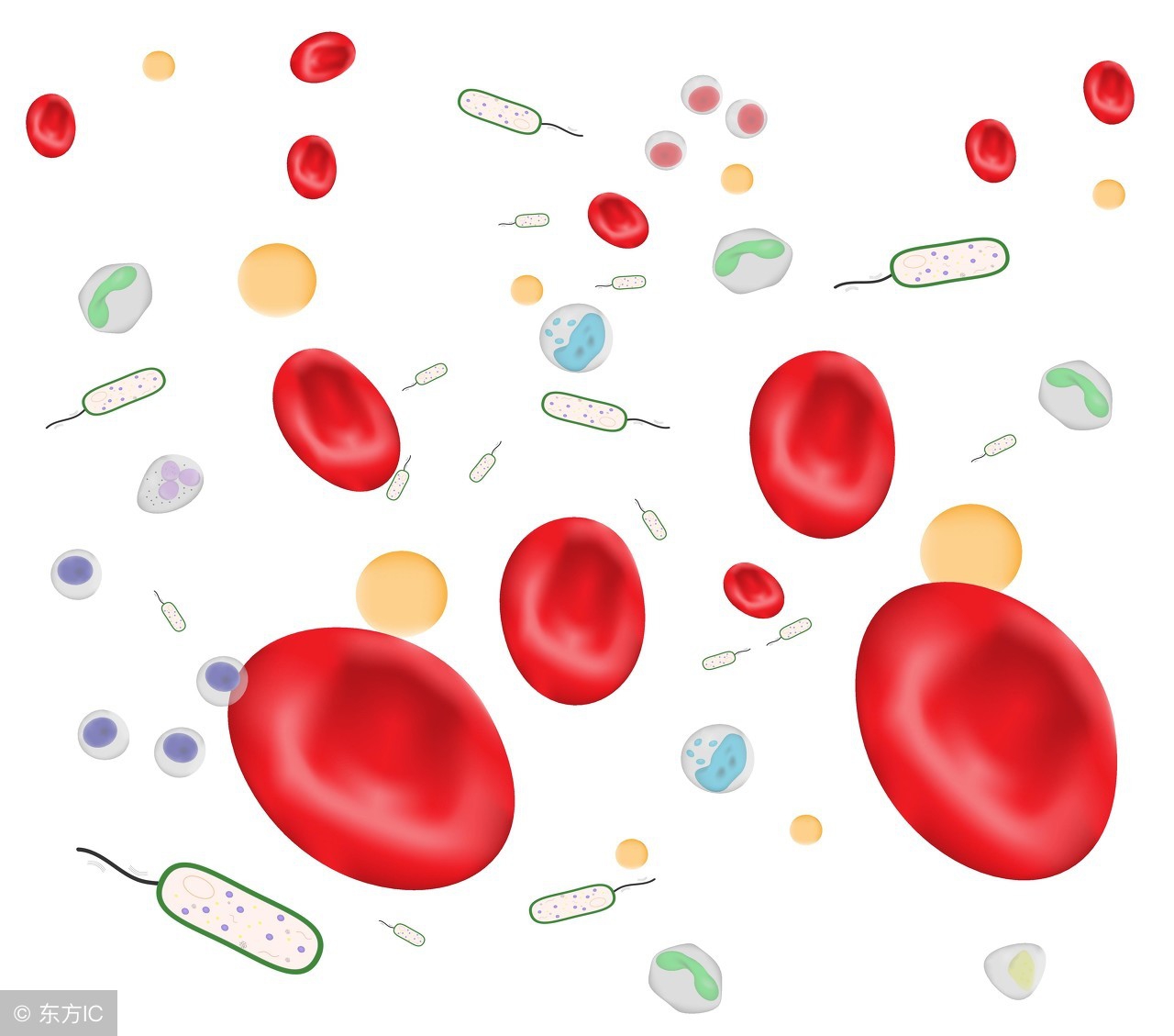 败血症的预防办法都有哪些呢？败血症要如何饮食