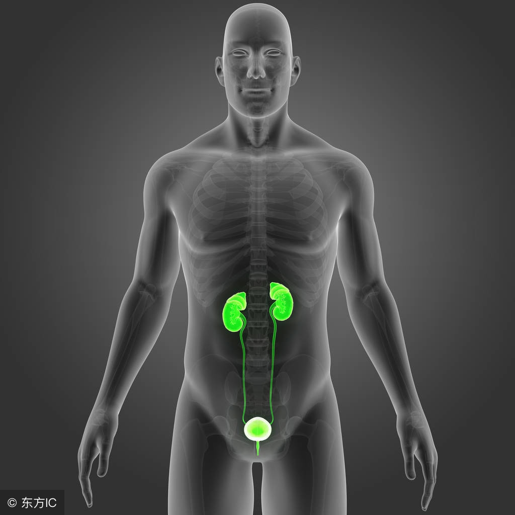 引起尿道突出的原因有哪些,都有什么疾病可以导致尿道口疼