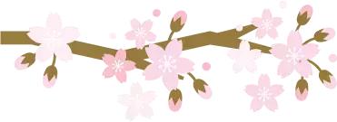 10号线一周年｜芙蓉花开，走进10号线绽放的365天