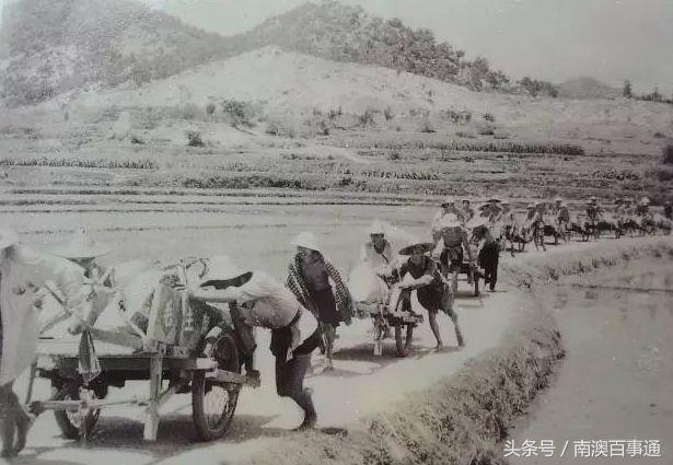 娼睍鐧剧,娼睍鐧剧澶у叏