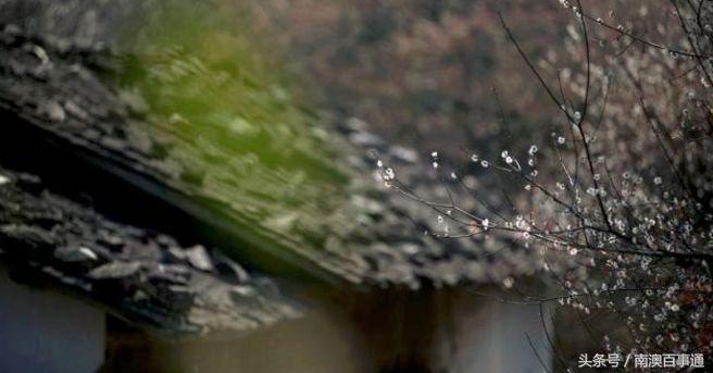 娼睍鐧剧,娼睍鐧剧澶у叏