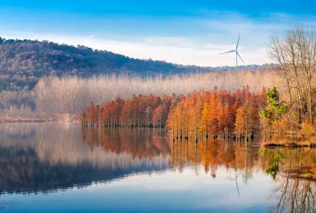 这些绝美小黄片,已经陆续在全国上线,找个时间去扫黄吧