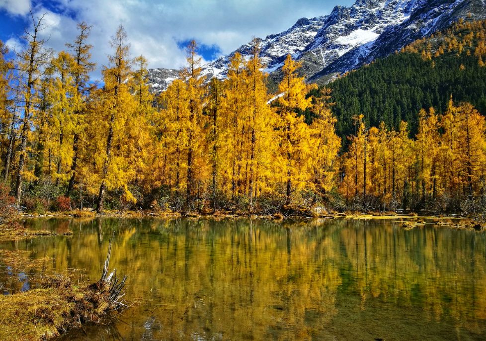这些绝美小黄片,已经陆续在全国上线,找个时间去扫黄吧