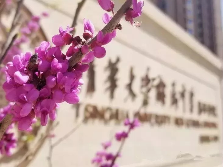 新学期教育方面,新学期全市各学校有序开课