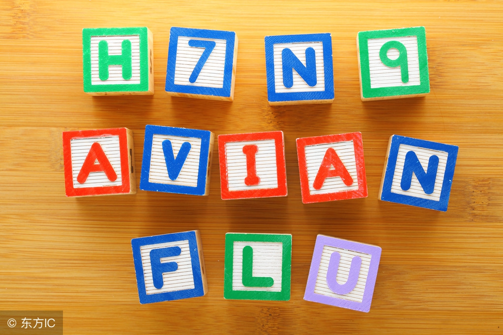 幼儿汉语拼音基础知识,语文基础知识汉语拼音