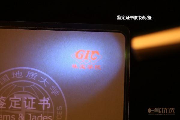 怎样鉴别琥珀和塑料的区别,塑料和琥珀的区别图片