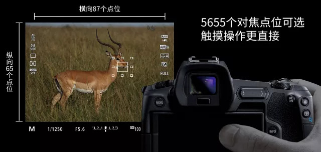 佳能eosr与r6有何区别,佳能eosr实操