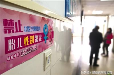 5万孕妇“寄血验子”涉案超2亿有人鉴定性别后引产