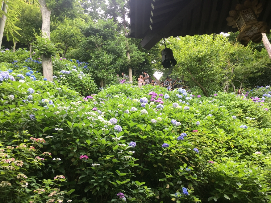 带你走进日本风土人情,跟日本女朋友一起旅游吃什么