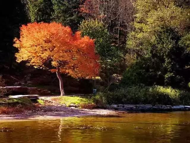 金秋10月最适合自驾之地,秋季最美自驾攻略