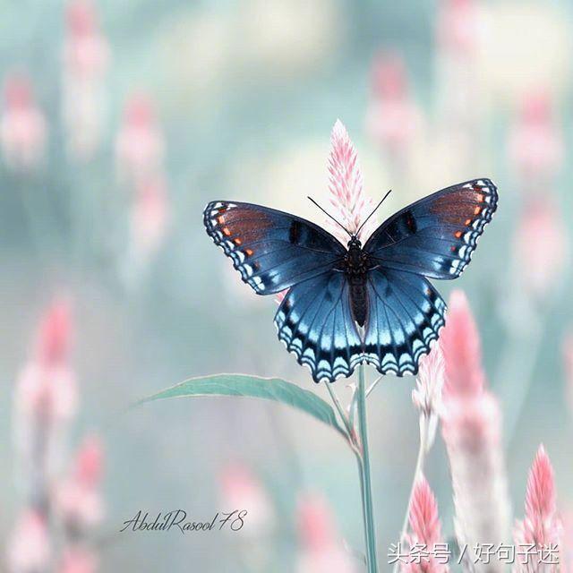 好听的qq个性签名大全,好听的qq个性签名英文