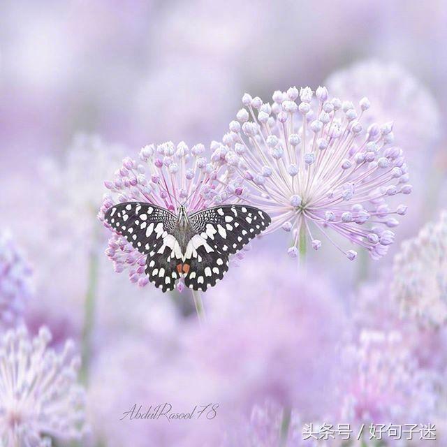 好听的qq个性签名大全,好听的qq个性签名英文