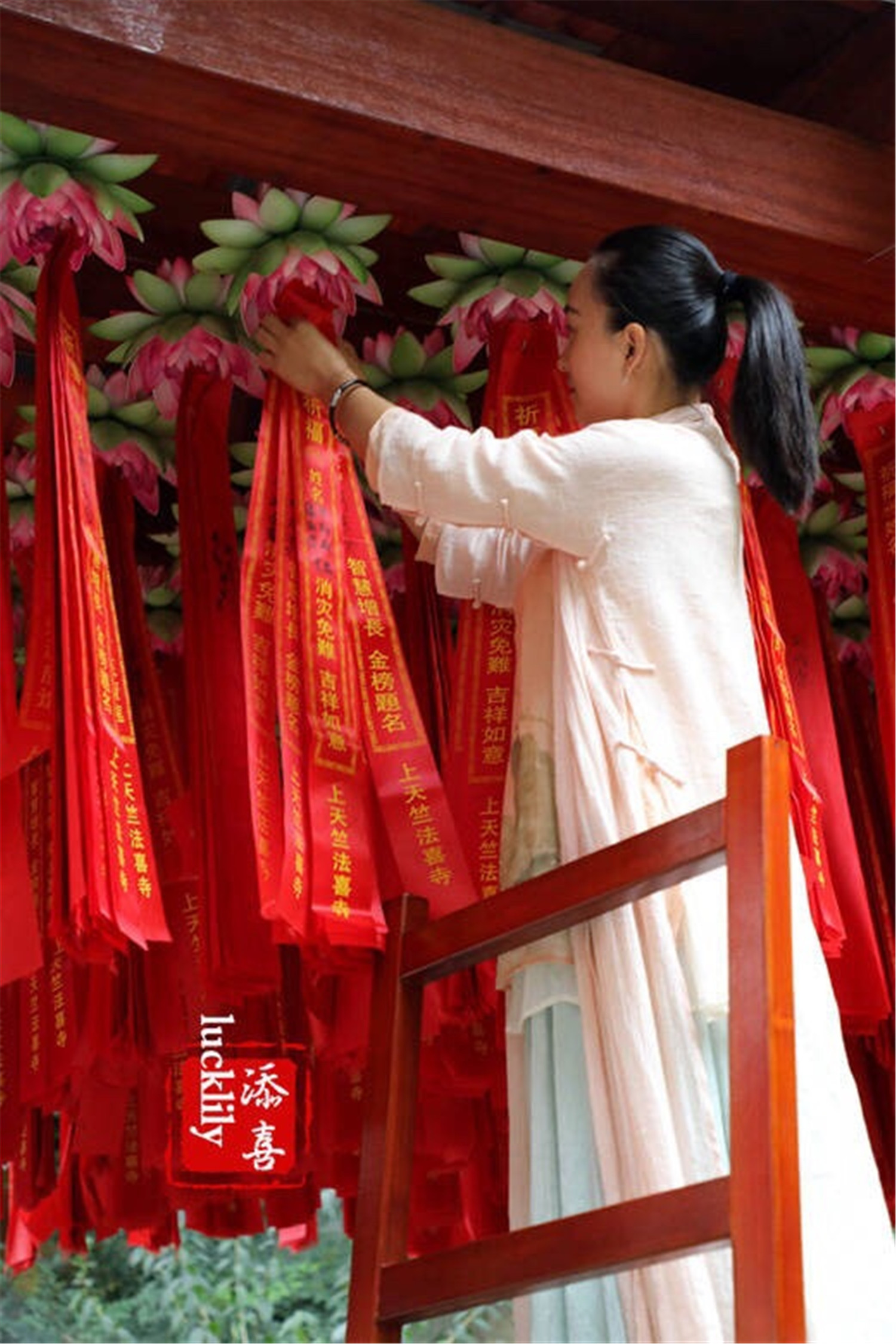 杭州西湖领略西湖之美,杭州西湖美景打卡