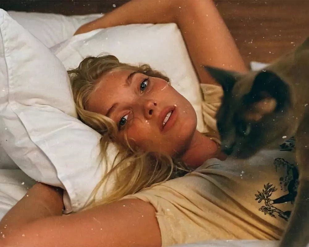 维密天使猫猫走秀,维密超模走秀猫咪