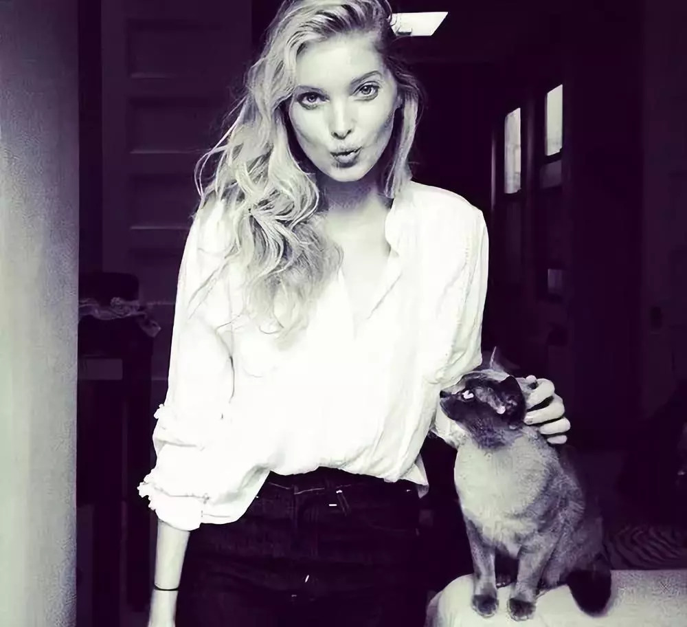 维密天使猫猫走秀,维密超模走秀猫咪