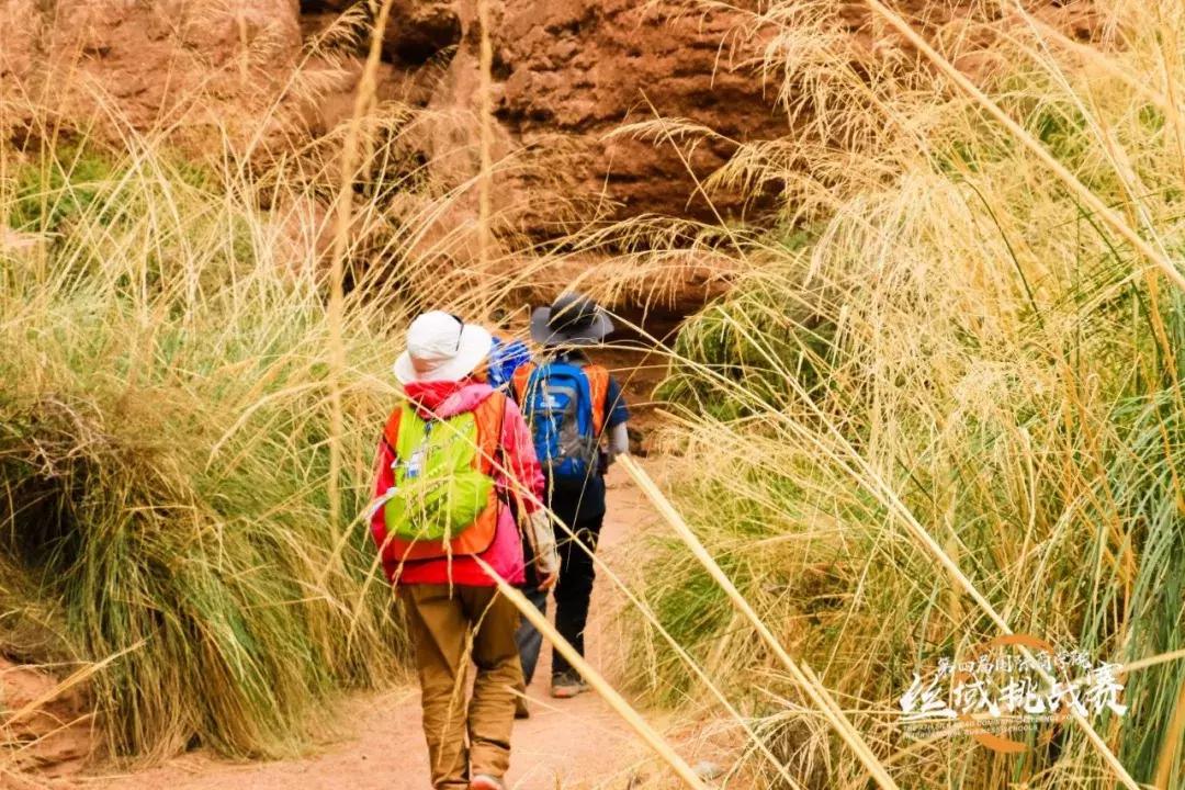 姊﹀洖寮犳帠姝屾洸,姊﹀洖寮犳帠