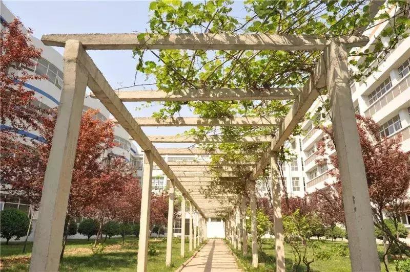 石家庄二中现在实力如何,石家庄二中全面介绍