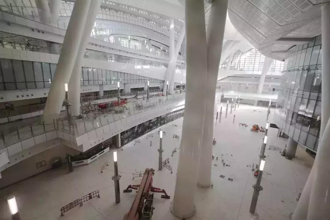 广深港高铁是什么车次,广深港高铁购票攻略最新