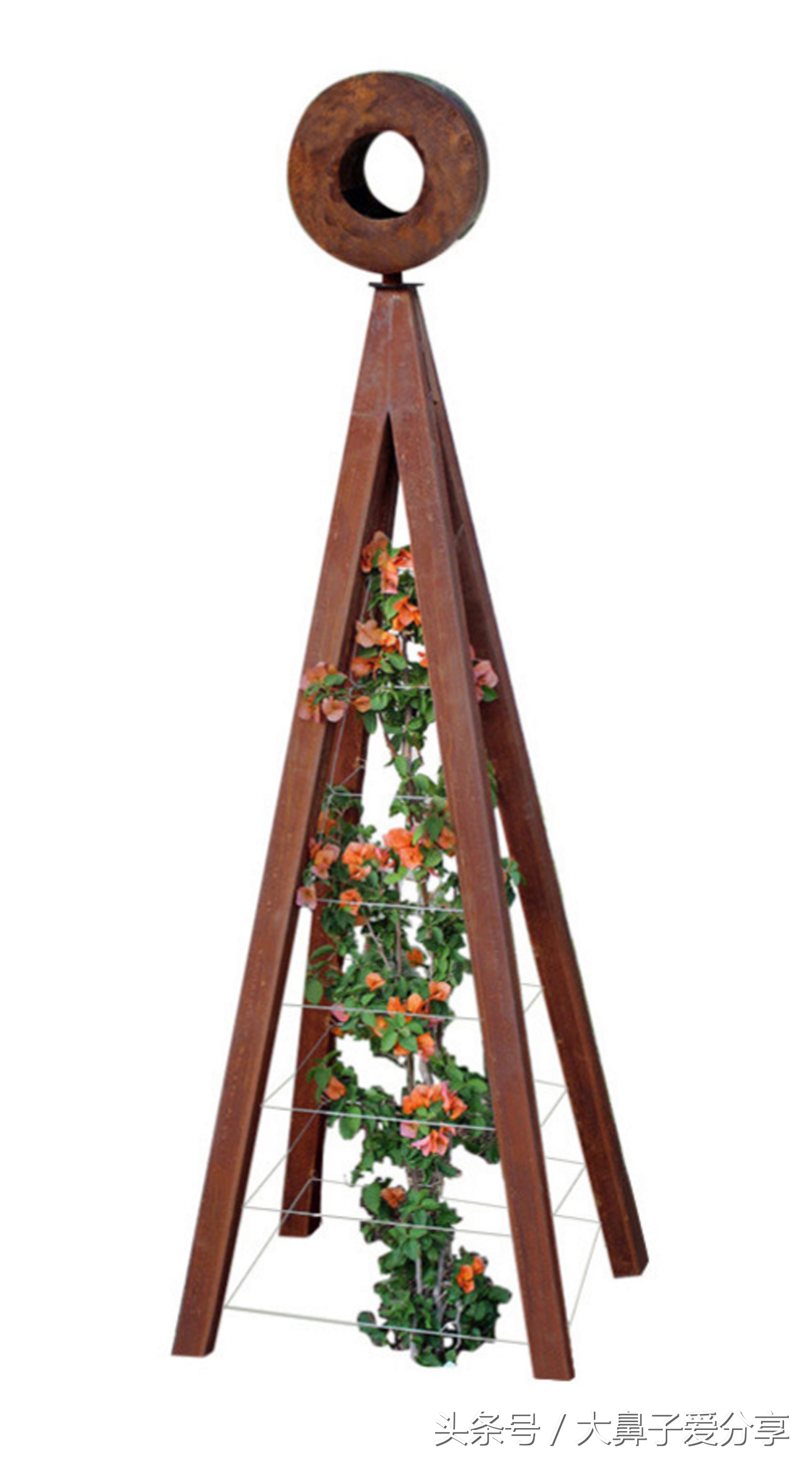 花架户外庭院多层2000cm,庭院花架放哪里最好