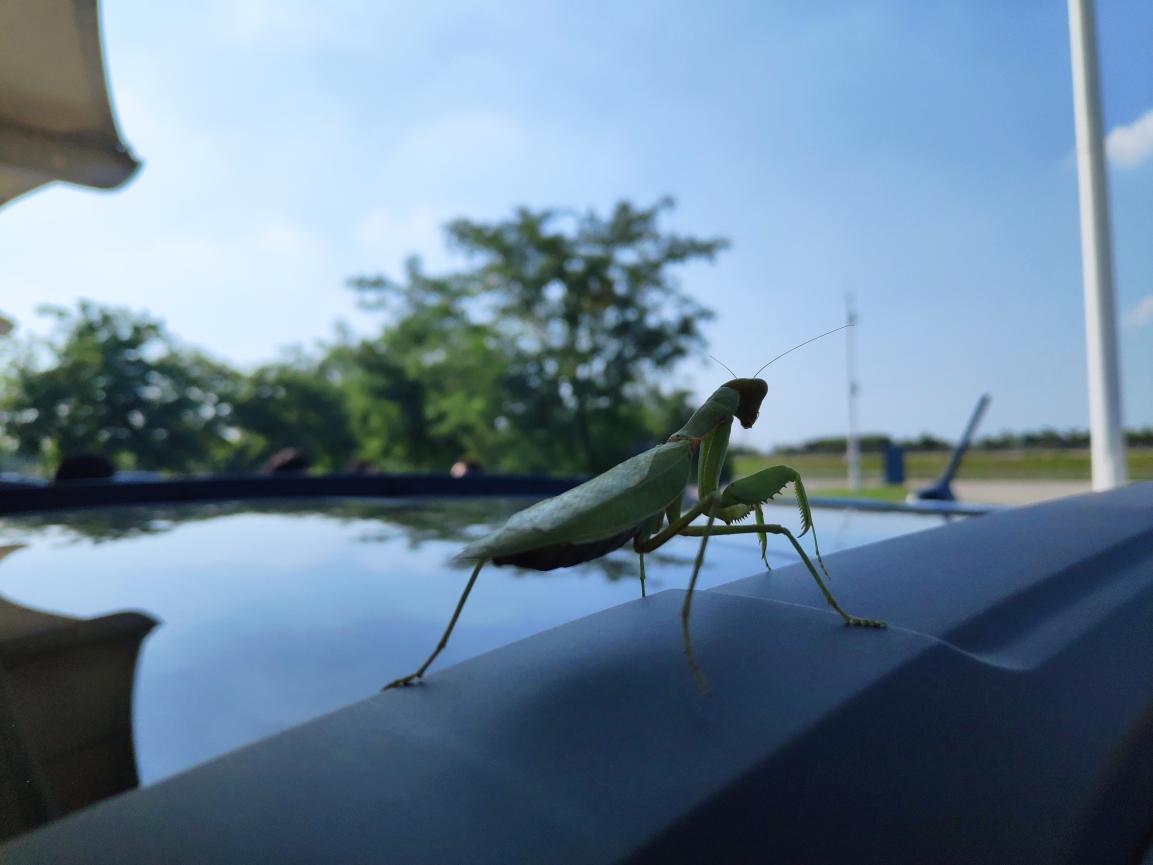纯电动比亚迪秦高速实测,比亚迪秦dmi自驾游西藏