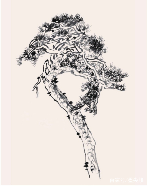 工笔松树简单画法步骤,松树的画法和技巧视频