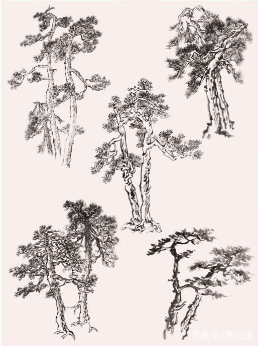 工笔松树简单画法步骤,松树的画法和技巧视频
