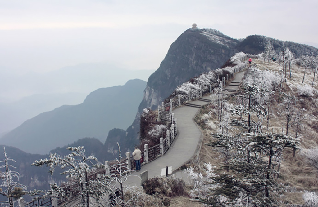 乐山峨眉山周边游,乐山到峨眉山金顶一日游怎么安排
