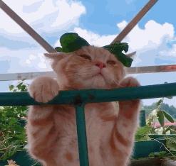 请问阁下可是向阳幼儿园扛把子？