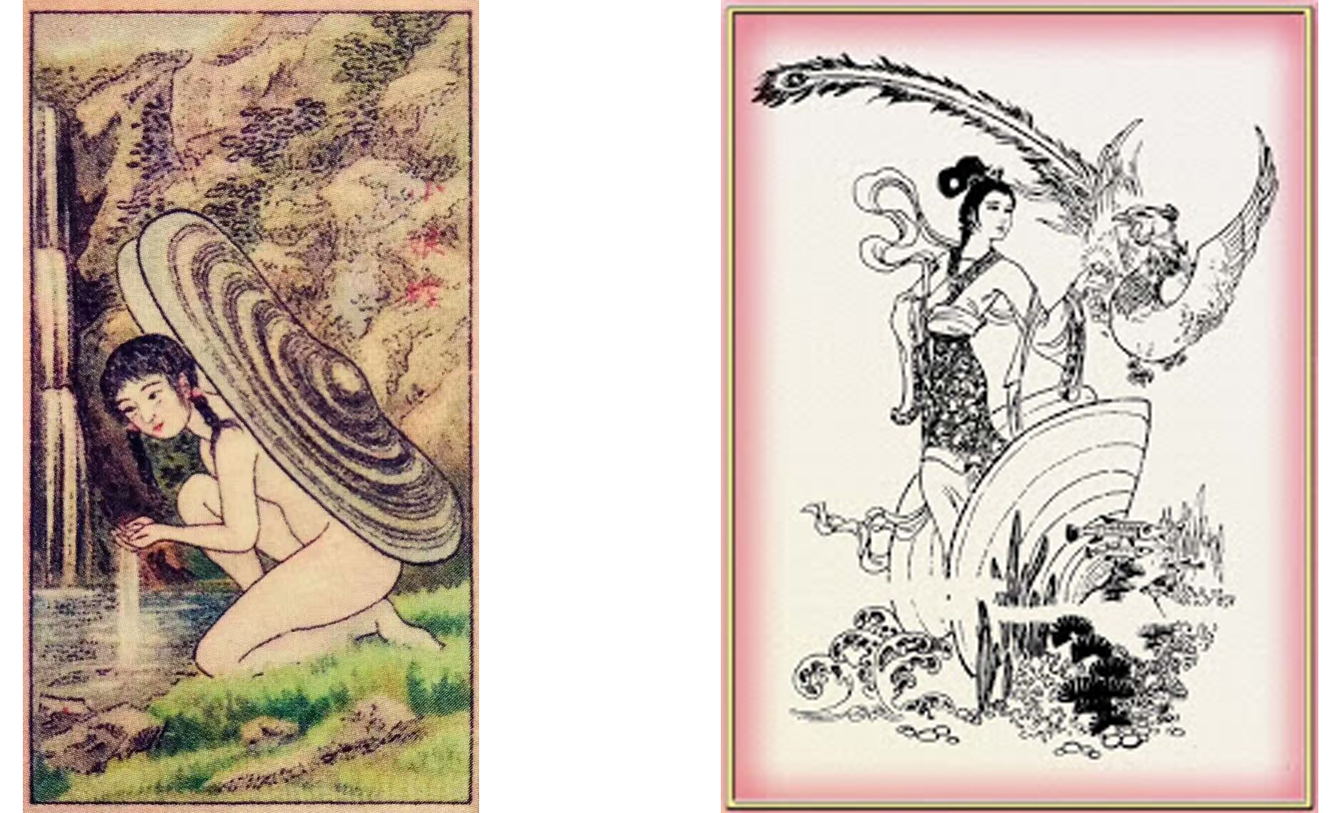 海边贝类种类,各种贝类的名称