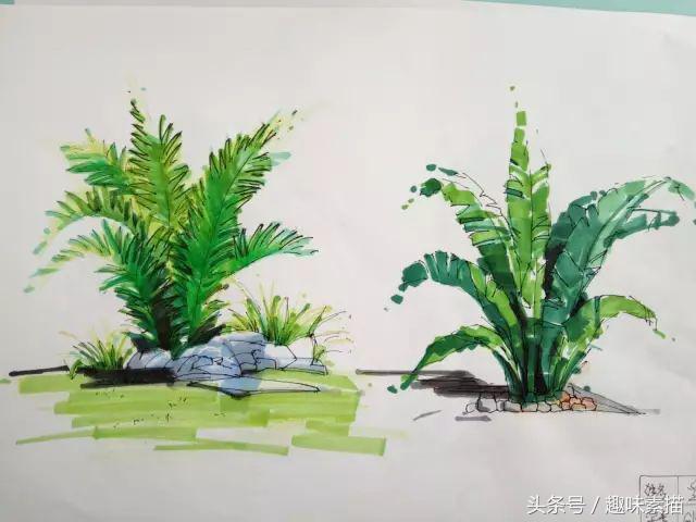 干货分享原来马克笔这么画才惊艳,干货马克笔使用终极技巧