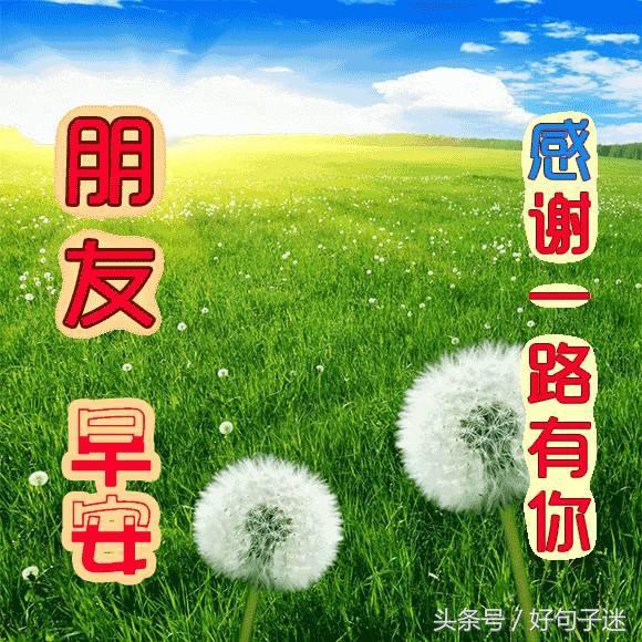 简短早安正能量早安吉祥心语,每日早安祝福语简短的