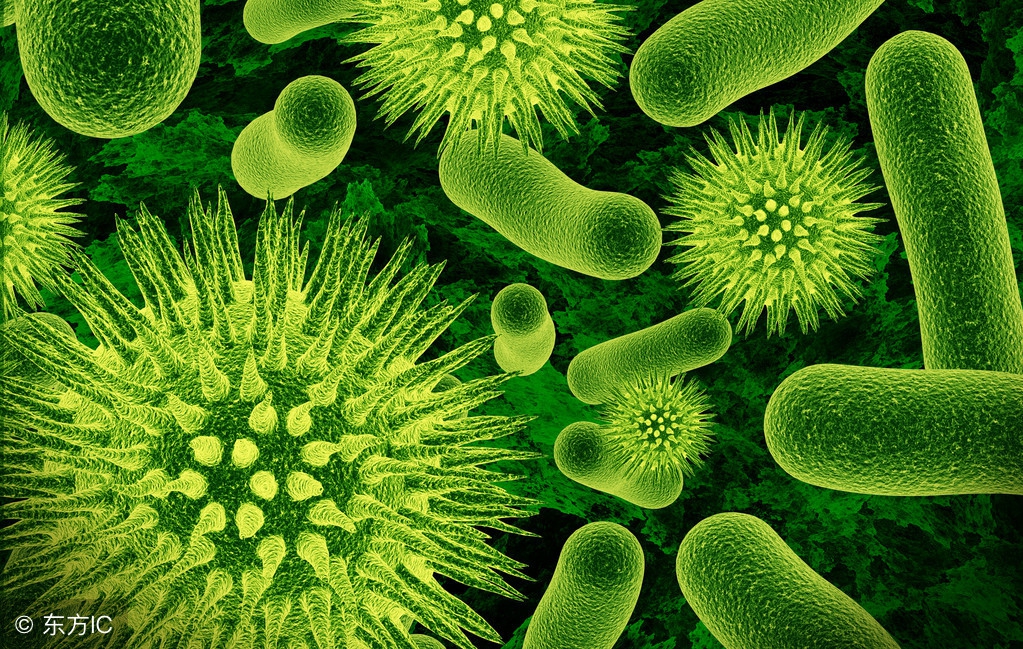 碗橱里有蟑螂用什么办法解决,厨房洗碗池蟑螂