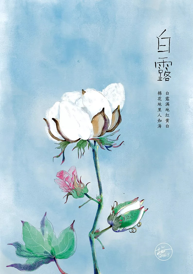 没错！wuli崇明人白露就是要吃鸡的~