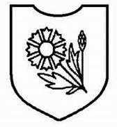 二战德国*党**卫军45个作战师的名称标志的由来以及他们之间的区别