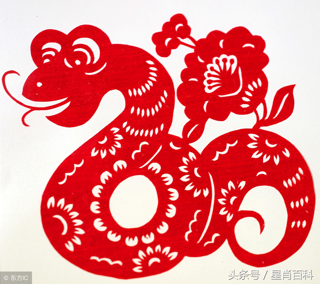 怎样佩戴十二生肖守护佛,吉祥物怎么戴身上不会掉