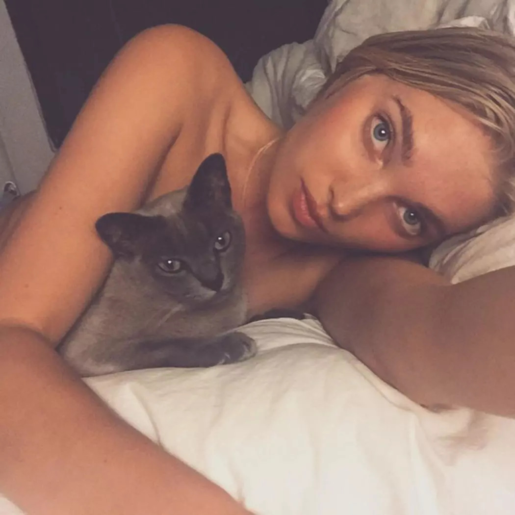 维密超模猫咪,维密秀猫咪