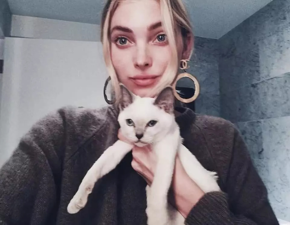 维密超模猫咪,维密秀猫咪