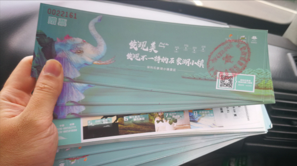 石象湖郁金香门票,石象湖百合花景点