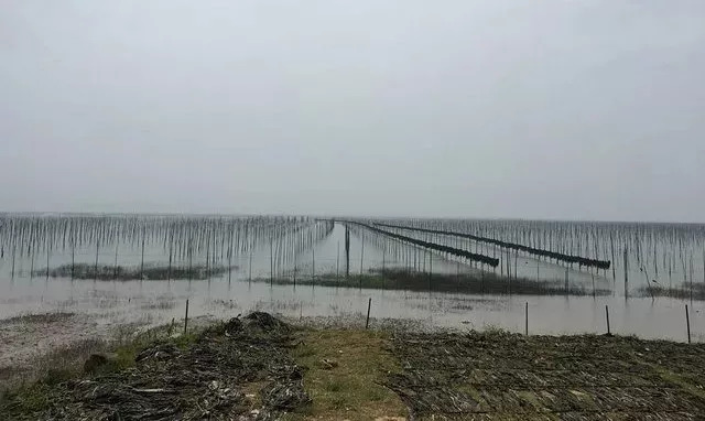 霞浦最值得去的岛,霞浦必去的几个岛屿