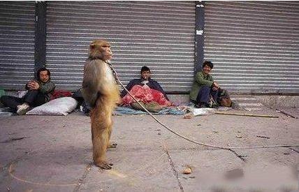 专治不开心的笑话段子图片,专治不开心搞笑段子图文