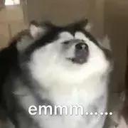 白露节后各地气温变化,白露过后的天气越来越冷