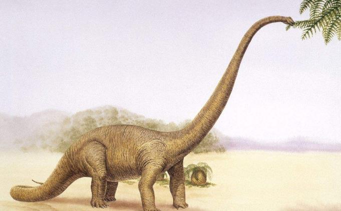 恐龙为什么如此巨大,恐龙为什么能长那么大的原因