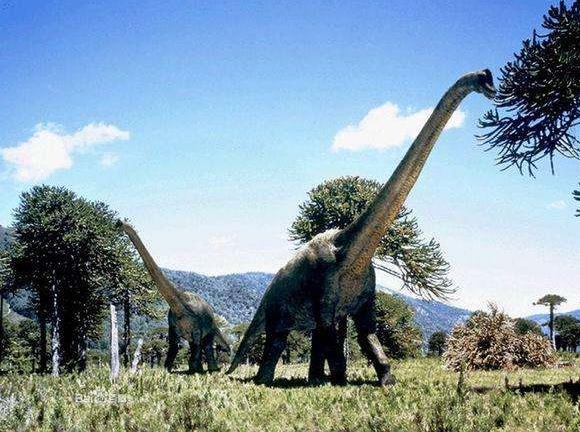 六角恐龙肚子变大是怎么回事,恐龙为什么这么大