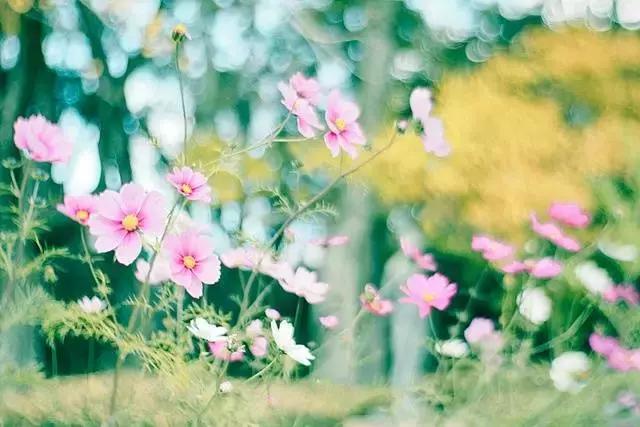 名人名言手抄报50句,励志名人名言经典100句文案