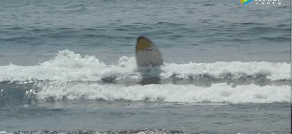 倘对爱情仍有一丝期许,请学会爱对方~《那年夏天,宁静的海》