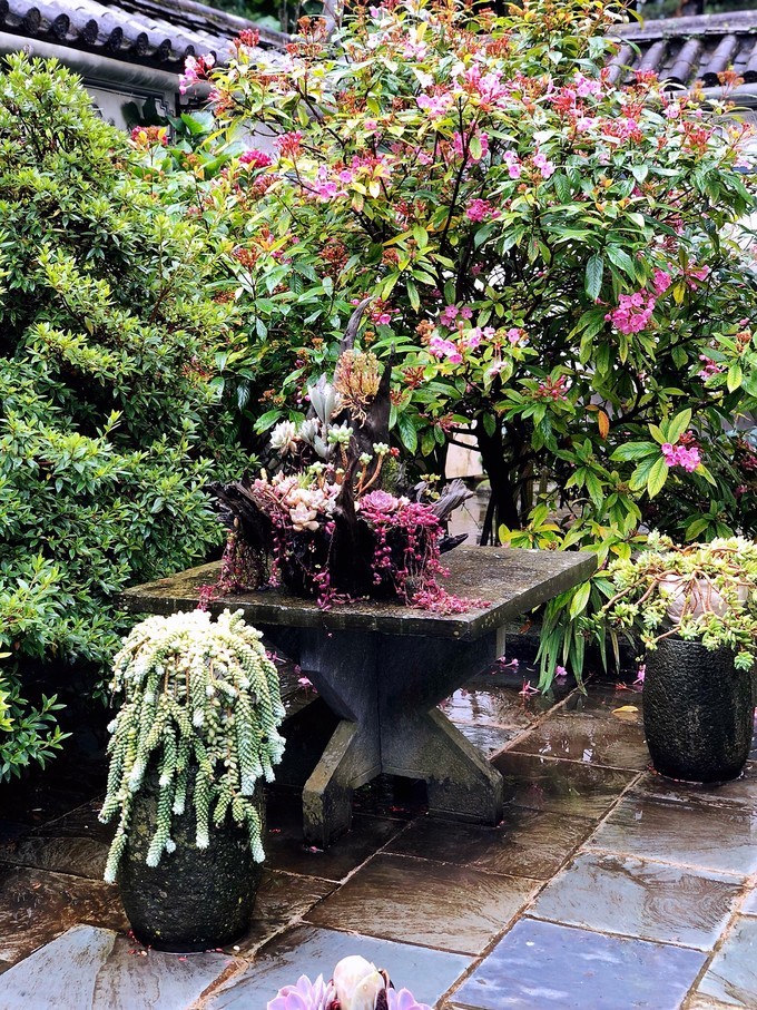 我是云南人搞笑视频,昆明大理腾冲视频