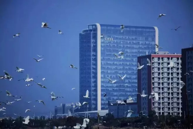 宁德时代现在是一个什么现状,宁德时代供应链深度解析